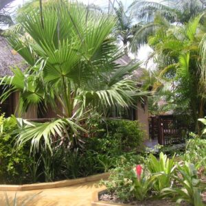 Verblijf in St Lucia