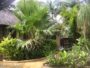 Verblijf in St Lucia